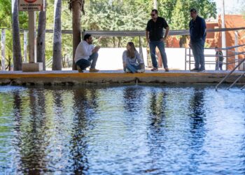 Gobierno del Estado y Ayuntamiento de Culiacán impulsan plan de reactivación económica para Imala