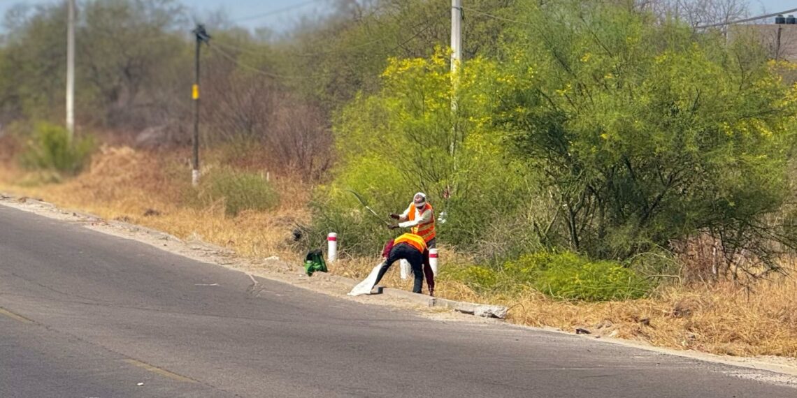 Alcalde Gildardo Leyva supervisa trabajos de limpieza en carretera El Fuerte-Choix