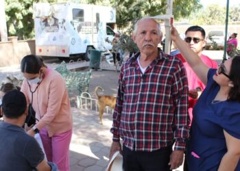 Salud Ahome llevará a cabo brigada de servicios médicos en Las Grullas Margen Izquierda – NR | NOTICIAS 