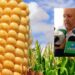 Más de 1000 productores de maíz sin apoyo en comercialización: Miguel Ángel López Miranda – NR | NOTICIAS