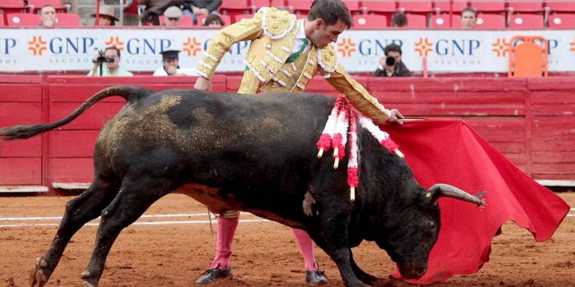 Es tiempo de revisar corridas de toros, Constitución prohíbe maltratar a animales: Sheinbaim