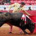 Es tiempo de revisar corridas de toros, Constitución prohíbe maltratar a animales: Sheinbaim