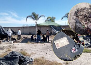 Crematorios clandestinos en Teuchitlán, Jalisco, son un tema “muy crítico y grave”: Gertz Manero