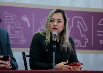 10 detenidos y el aseguramiento de 15 vehículos, armas de fuego, municiones y precursores químicos,  son algunos resultados del Grupo Interinstitucional en Sinaloa