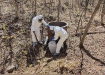 En Culiacán, Cosalá y Choix, aseguran 6 “narcolaboratorios”