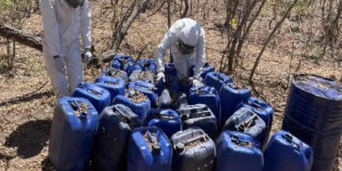 Continúa el aseguramiento de ‘narcolaboratorios’ en Culiacán y Cosalá; este miércoles fueron 15