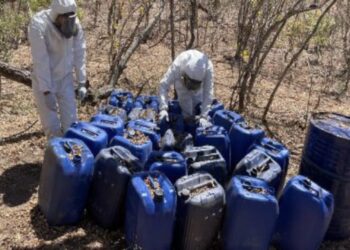 Continúa el aseguramiento de ‘narcolaboratorios’ en Culiacán y Cosalá; este miércoles fueron 15