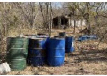 Nuevamente en Culiacán y Cosalá, aseguran 10 laboratorios clandestinos