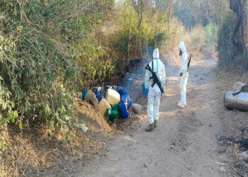 El Gabinete de Seguridad del Gobierno de México informa acciones relevantes del lunes 14 de abril de 2025