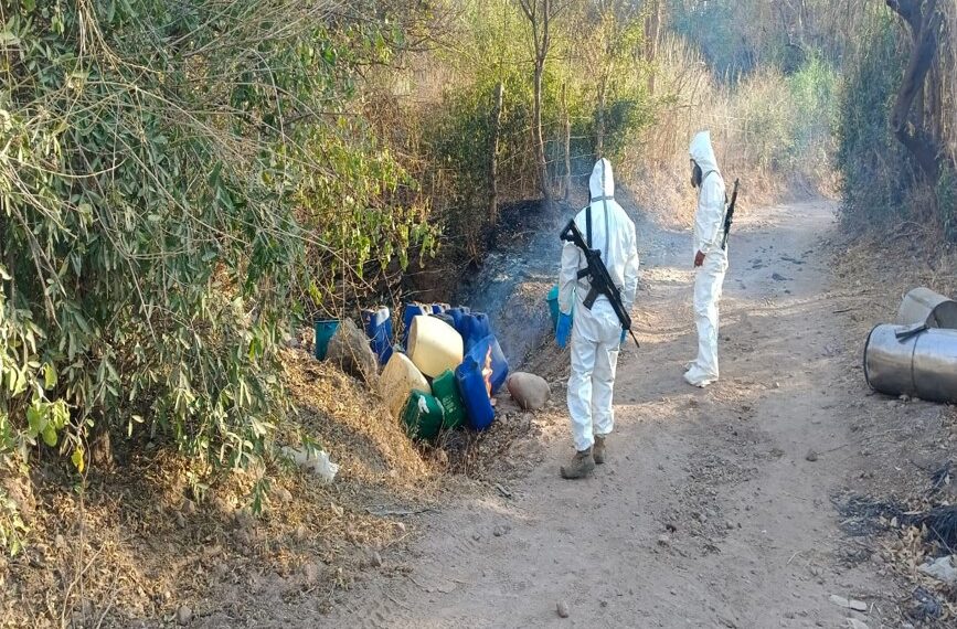 El Gabinete de Seguridad del Gobierno de México informa acciones relevantes del lunes 14 de abril de 2025