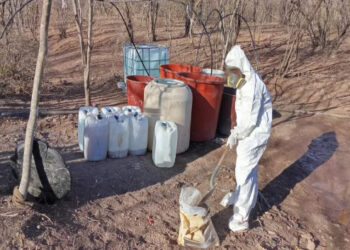 El Gabinete de Seguridad del Gobierno de México informa acciones relevantes del lunes 31 de marzo de 2025