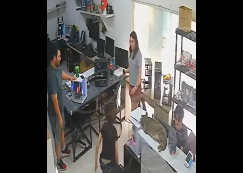 Cuida tu salud mental: hacerles berrinche a tus papás a los 20 años no es de Dios