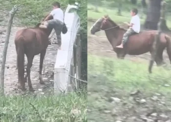 Video: Niño sorprende por habilidad de montar a caballo; se viraliza en TikTok