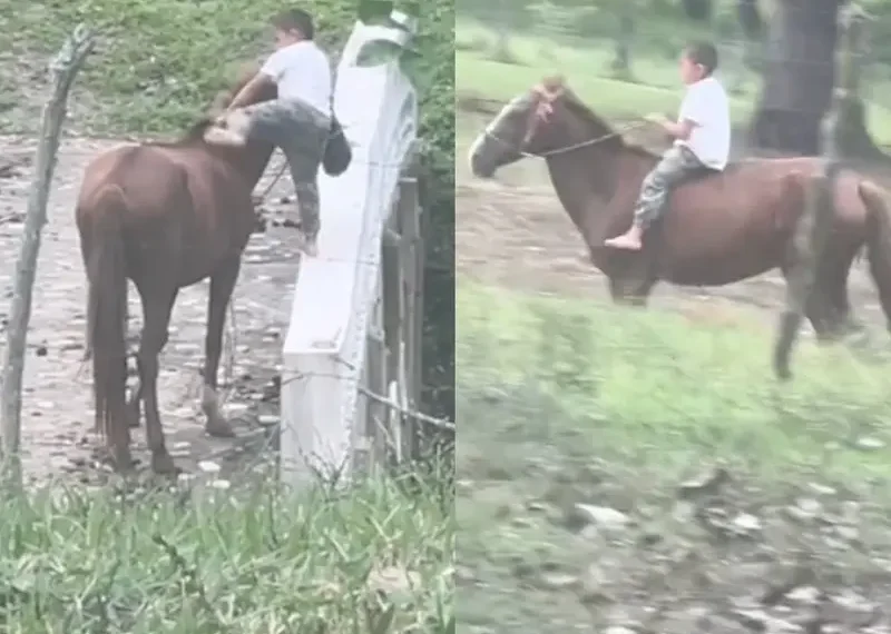 Video: Niño sorprende por habilidad de montar a caballo; se viraliza en TikTok