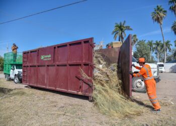 Instalan “Tolva a tu alcance” para desechar cacharros en Los Mochis