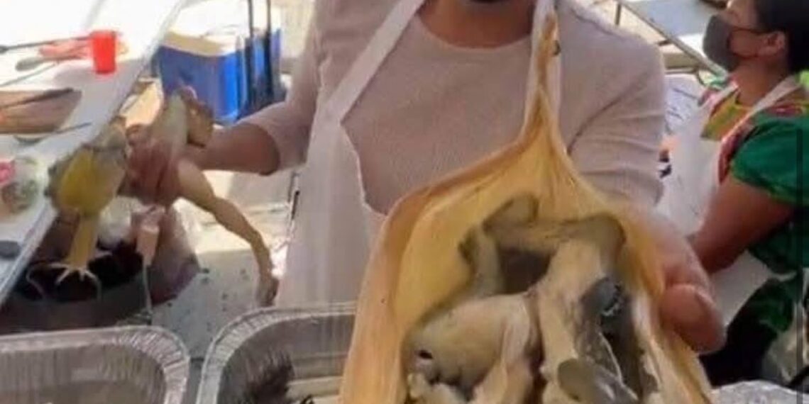 Tamales de rana: El platillo exótico de Oaxaca para semana santa