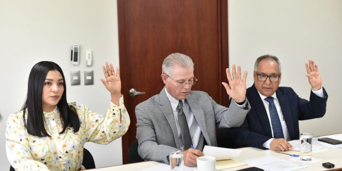 Aprueban proyecto de dictamen que busca endurecer penas por “halconeo”