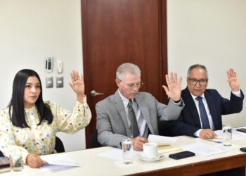 Aprueban proyecto de dictamen que busca endurecer penas por “halconeo”