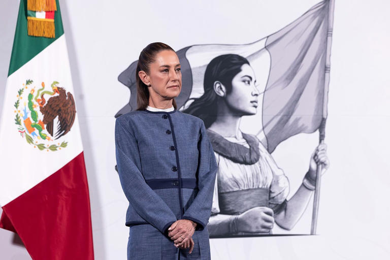 Sheinbaum asegura que pedirá respeto y colaboración al embajador de EU en México, Ronald Douglas Johnson