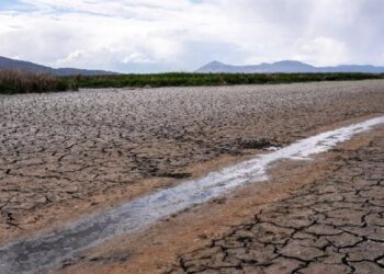 ¡Cuidemos el agua! JAPAMA alerta:  el 60% del recurso en Ahome proviene de fuentes al límite:  – NR | NOTICIAS 