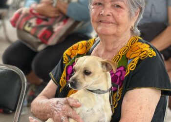 La Tiki, perrita beneficiaria de la feria de esterilización del  Gobierno de Ahome