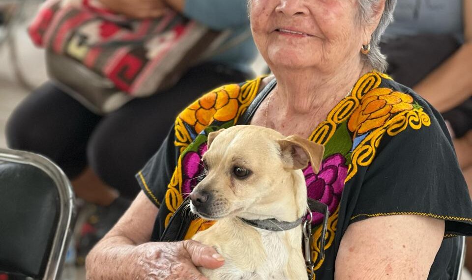La Tiki, perrita beneficiaria de la feria de esterilización del  Gobierno de Ahome