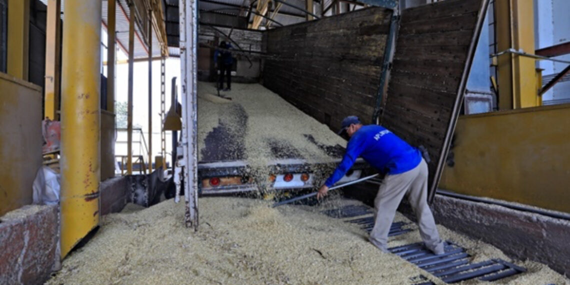 Productores de Sinaloa exigen cumplimiento de pagos y medidas contra aranceles estadounidenses