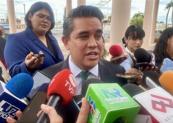 Pese a señalamientos, habrá más afiliaciones al partido Verde, anuncia Ricardo Madrid
