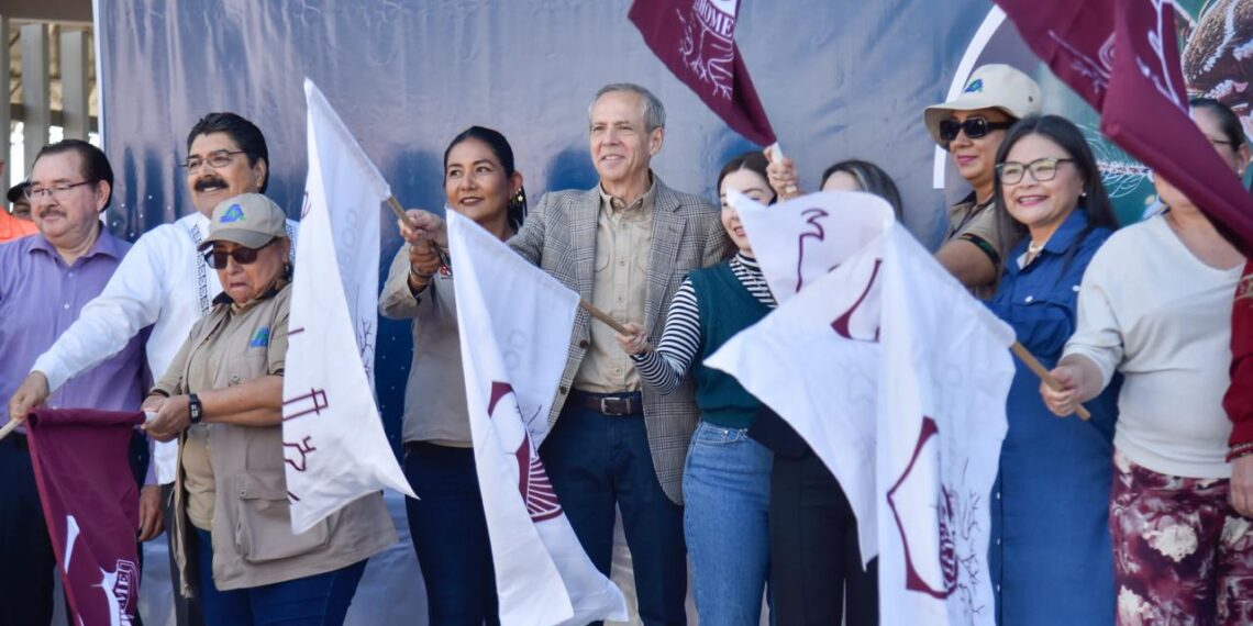 Ahome se suma a iniciativa de la Presidenta Claudia Sheinbaum a la lucha contra el dengue