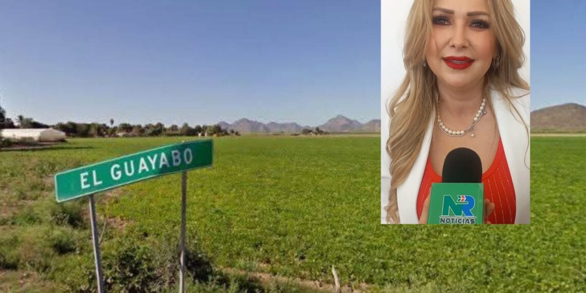 “Vamos por una mejor sindicatura” María del Carmen Hernández, síndica de Heriberto Valdéz Romero “El Guayabo” – NR | NOTICIAS