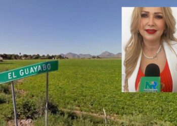 “Vamos por una mejor sindicatura” María del Carmen Hernández, síndica de Heriberto Valdéz Romero “El Guayabo” – NR | NOTICIAS 