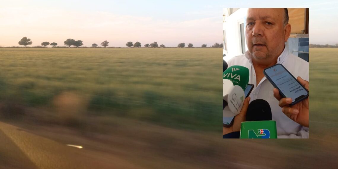 Crisis hídrica y agrícola afecta a productores de Sinaloa, exige declaratoria de emergencia:  López Miranda – NR | NOTICIAS 