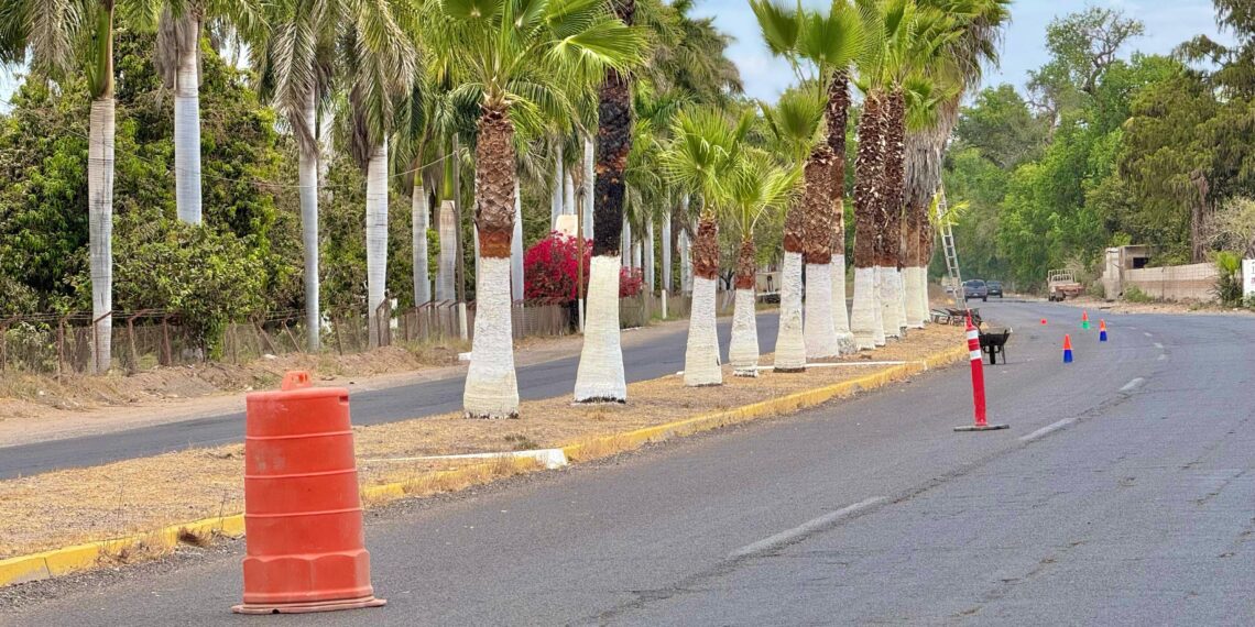 Refuerzan trabajos de bacheo y limpieza en la carretera El Fuerte–Los Mochis para vacaciones de Semana Santa