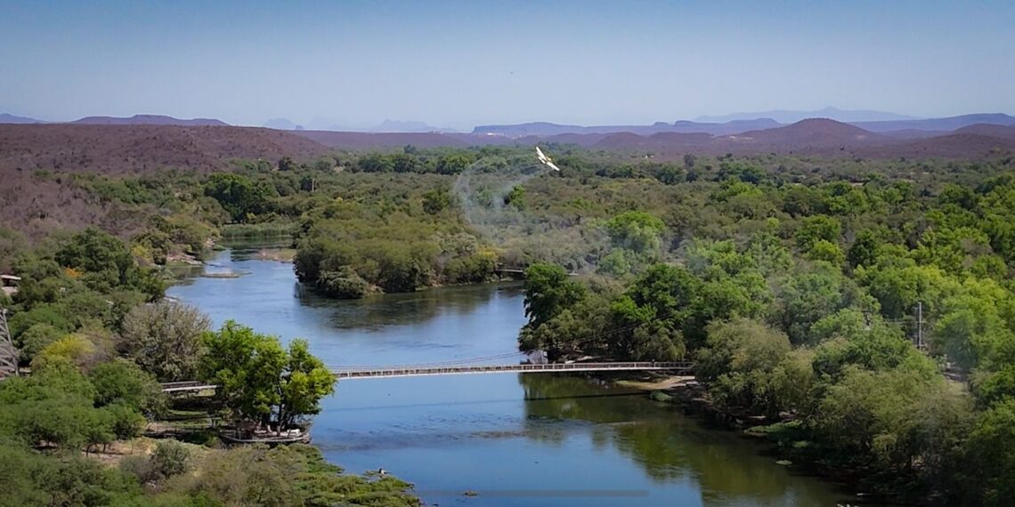 Fumigan márgenes del Río Fuerte para disminuir presencia de moscos