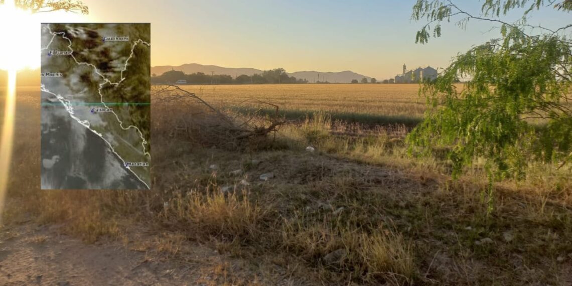 Clima hoy lunes 14 de abril en  Sinaloa  – NR | NOTICIAS