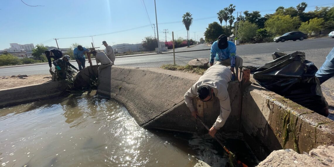 JAPAMA continúa jornada de limpieza en el canal Hidalgo 4