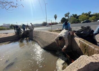JAPAMA continúa jornada de limpieza en el canal Hidalgo 4 