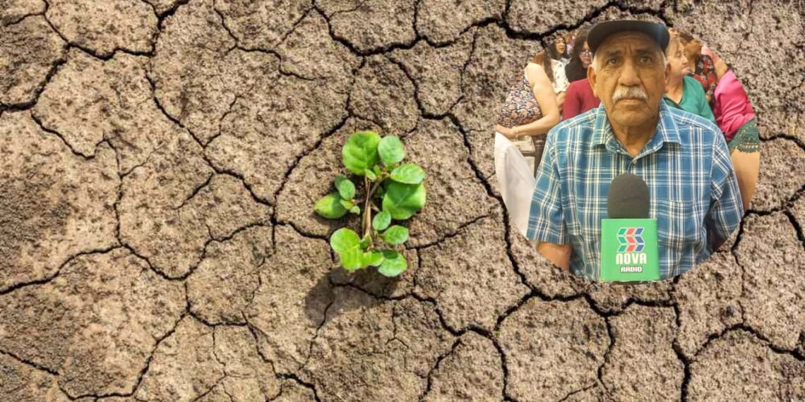 ¿La solución a la sequía? Proponen proyecto hidráulico del noroeste en Ahome – NR | NOTICIAS