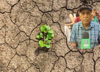 ¿La solución a la sequía? Proponen proyecto hidráulico del noroeste en Ahome – NR | NOTICIAS