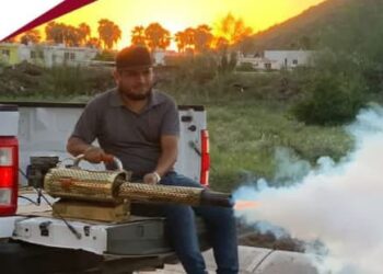 Fumigación en Ahome: colonias y fechas programadas esta semana – NR | NOTICIAS