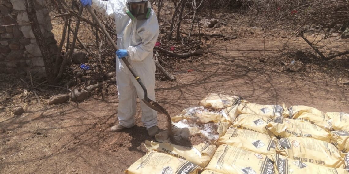 Aseguran un laboratorio clandestino y un área de concentración de productos químicos en Culiacán y Choix