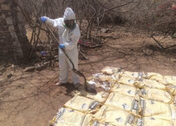 Aseguran un laboratorio clandestino y un área de concentración de productos químicos en Culiacán y Choix