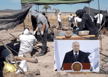 No se encontró evidencia de cremación en rancho Izaguirre de Teuchitlán: Gertz