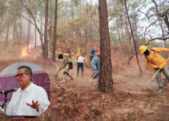 Controlado el 70% del incendio en Concordia: Feliciano Castro