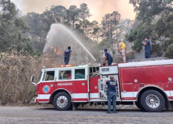 Controlan incendio forestal en la sierra de Concordia; autoridades continúan labores en Badiraguato