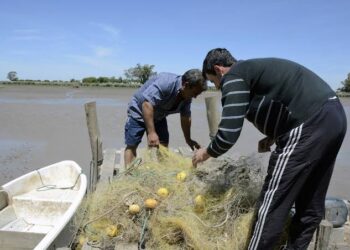 PRI propone reforma integral a Ley de Pesca en Sinaloa para dignificar comunidades pesqueras