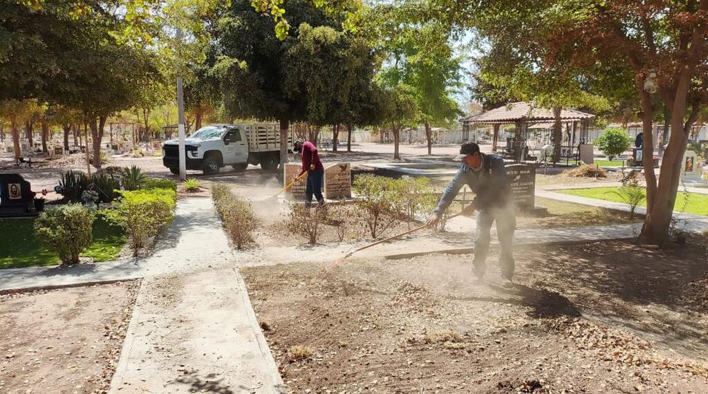 ¿Cuál es el plan de Servicios Públicos Ahome para mejorar espacios abiertos en Los Mochis? – NR | NOTICIAS