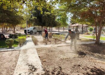 ¿Cuál es el plan de Servicios Públicos Ahome para mejorar espacios abiertos en Los Mochis? – NR | NOTICIAS