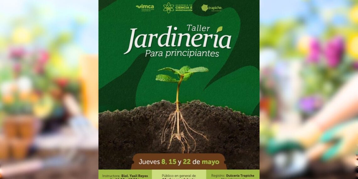 ¡Plántate en Trapiche! Curso ambiental de jardinería tiene cupo limitado – NR | NOTICIAS