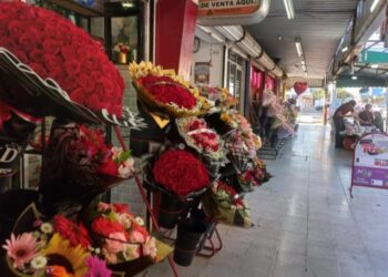 Canaco Los Mochis pide protección al comercio local ante llegada de vendedores golondrinos – NR | NOTICIAS 